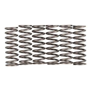 Premier Clutch Springs - Heavy Duty