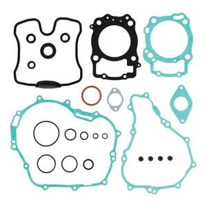 Vertex: Complete Gasket Set with Oil Seals 8110042
