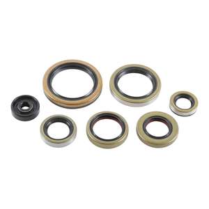Vertex: Oil Seal Kit 822976