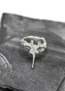 Vertebra Vortex ring