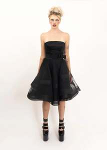 Tulle skirt and silk bustier set
