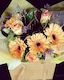 Posies