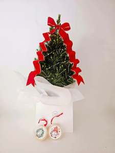 Mini Living Christmas Tree with 2 Christmas Cookie Baubles
