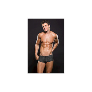 Male Lingerie: Envy Microfiber Trunk L Xl Pinstripe