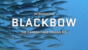 Products: Mini-Trace » BlackBow
