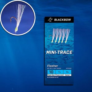 Products: Mini-Trace Flasher