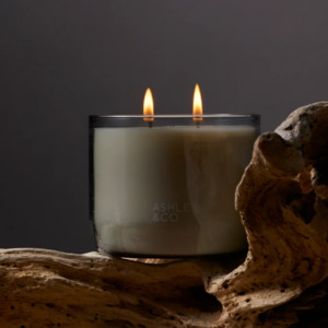 Fragrance: Waxed Perfume Tui and Kahili XL