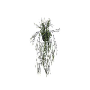 Plants Planters: Potted Rhipsalis 76cm