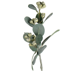 Mini Eucalyptus Pod Spray