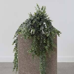 Plants Planters: Hanging Eucalyptus Grey/Green - 82cm