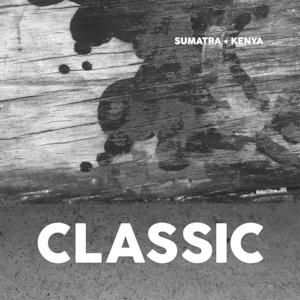 Products: Little Drum Bold Blend Coffee 250g