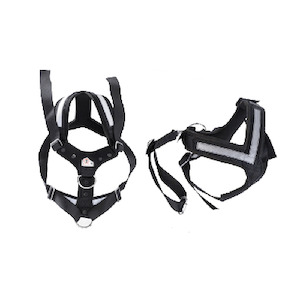Vario Accessories: Crash Tested Harness