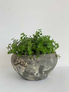Old Stone Pot