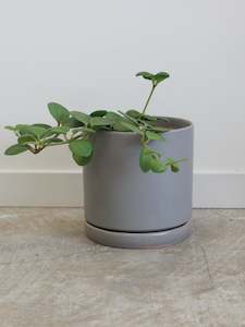 Pots: Florist Pot With Saucer