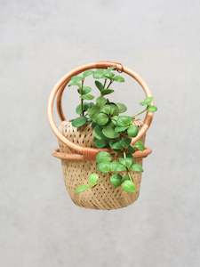 Pots: Small Rattan Hanging Basket