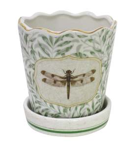 Planter Morris Dragonfly