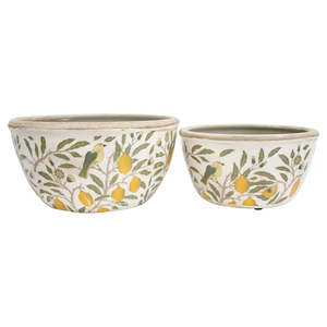 Lavida: Planters Lemons Low