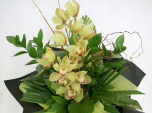 Bouquets: Cymbidium Orchid Bouquet / Seasonal Winter