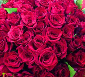 Roses: 50 Red Roses
