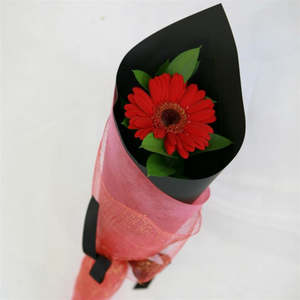 Valentines day single Gerbera