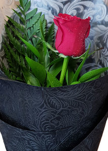 Romance Valentine's Day: The one
