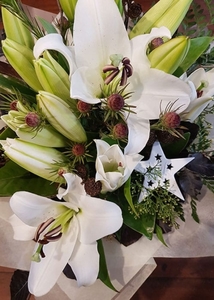 Products: White Christmas