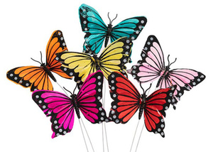 Products: Add some butterflies