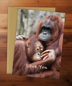 You Ve Got A Friend In Me: LAF-1533-PR