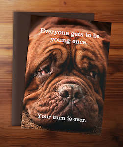 Lady Like Birthday: ABR-1198-PR