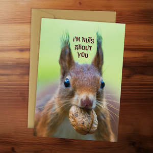 Happy Anniversary - I'm Nuts About You