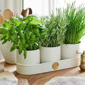Gardening: Sophie Conran Herb Pots - Buttermilk