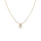 Rosefield Bow Link Necklace - Gold