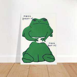 New Arrivals: A Study in Frog