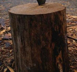 Accessories: Large Chopping Block for Firewood