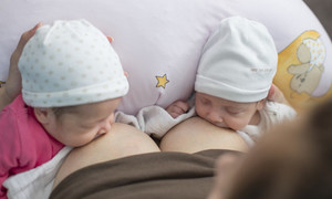 Products: Feeding package Blissful Bubs