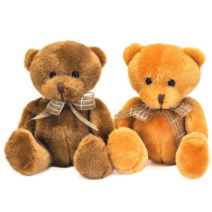 Cute Teddy Add-On Gift