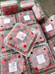 The Red Rows: The Red Rows Strawberry Punnet