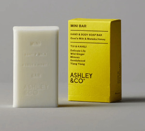 Products: Ashley & Co Mini Bar Body Soap