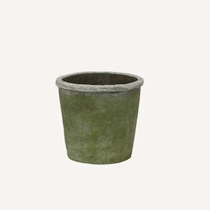 Potted Planters: Evergreen Plant Pot Small