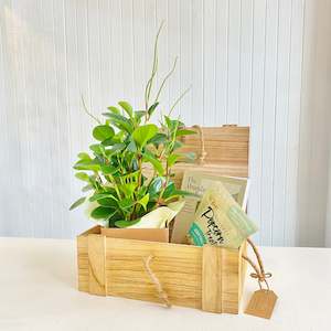 Storage: Wooden Storage Box - Medium