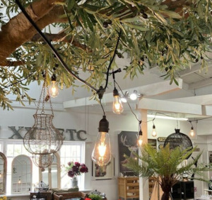 Outdoor Pendant Festoon Lights - 15m Black Cable