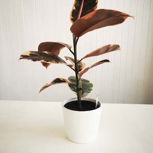 Millie Pot - White Stone Matte