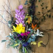 Products: Wild Bright