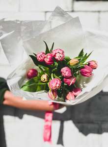 All: Tulips