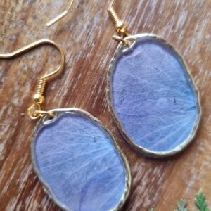 Products: Pansy dream