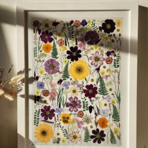 Products: Garden New Zealand