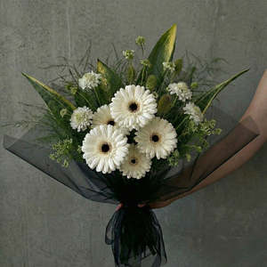 Frontpage: Silent Grace