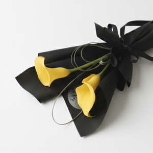 Frontpage: Midnight Sun