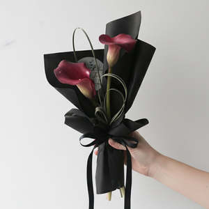 Frontpage: Velvet Noir