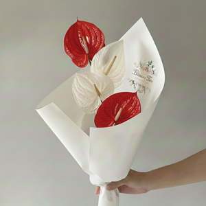 Frontpage: Modern Muse